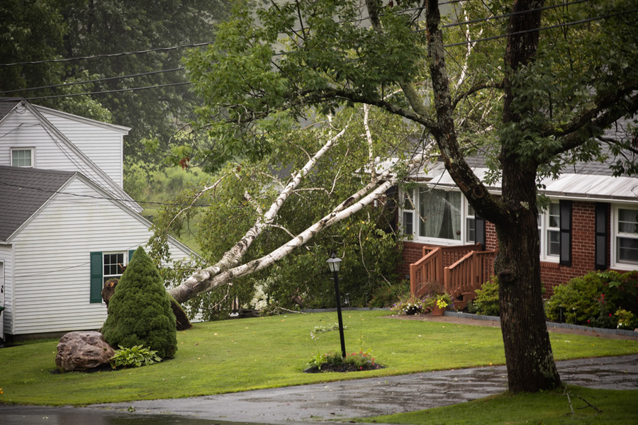 Home Insurance and Natural Disasters: Are You Covered?